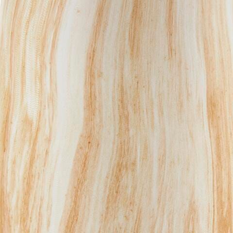 Ashley Cammen Tan White Vase