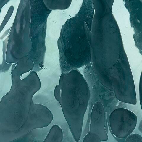 Ashley Cartshaw Iridescent Teal Vase