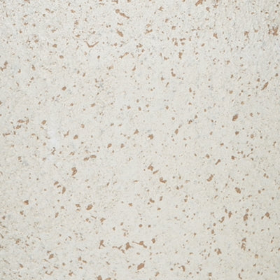 Ashley Dawthorne Cream Vase