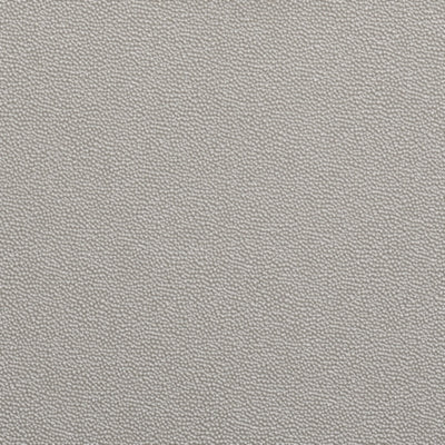 Ashley Chaseton Champagne Accent Cabinet