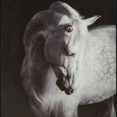 Ashley Archerwick Black White Wall Art