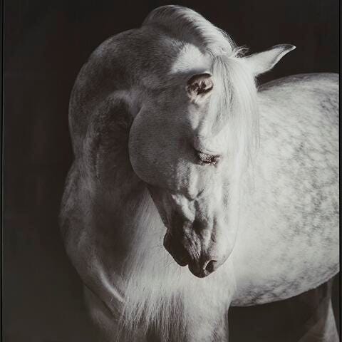 Ashley Archerwick Black White Wall Art