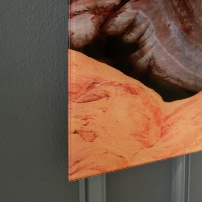 Ashley Deemsdon Blue Amber Wall Art