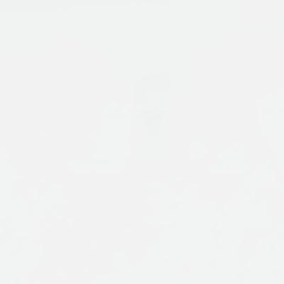 Ashley Bostwick Shoals White Twin Panel Bed