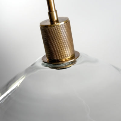 Ashley Chaness Clear Brass Pendant Light