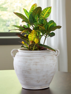 Ashley Meadie Distressed White Vase