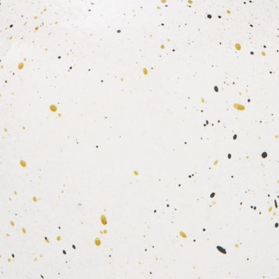 Ashley Dallinworth White Black Vase