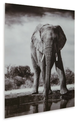 Ashley Glinyard Black White Wall Art