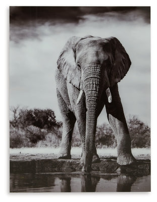 Ashley Glinyard Black White Wall Art