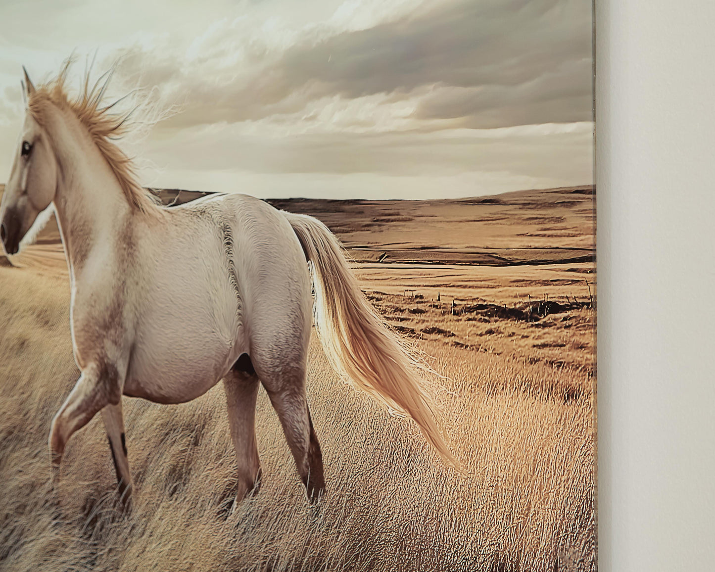 Ashley Errolville Multi Wall Art
