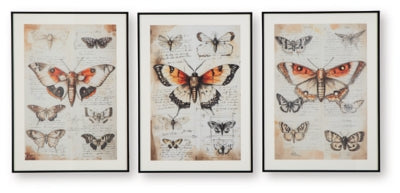 Ashley Jossletts Orange Black Ivory Wall Art (Set of 3)