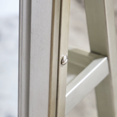 Ashley Evesen Champagne Floor Standing Mirror/Storage